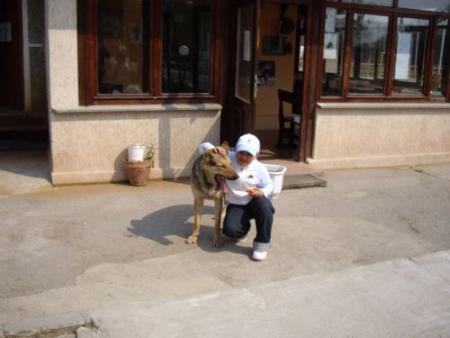 Прикачена снимка