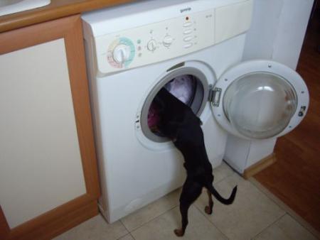 Прикачена снимка