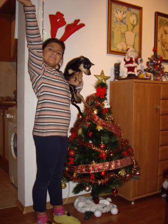 Прикачена снимка