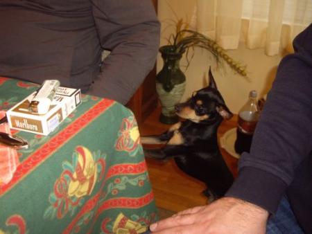 Прикачена снимка