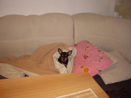 Прикачена снимка