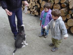 Прикачена снимка