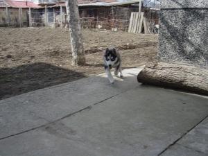 Прикачена снимка