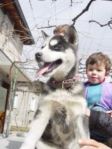Прикачена снимка