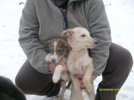 Прикачена снимка