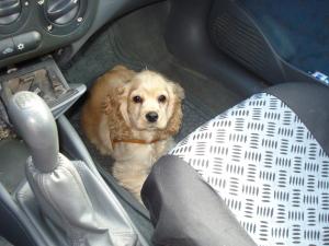 Прикачена снимка