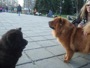 Прикачена снимка