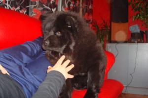 Прикачена снимка