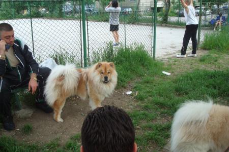 Прикачена снимка
