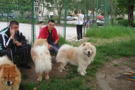 Прикачена снимка