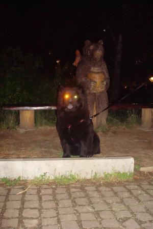 Прикачена снимка