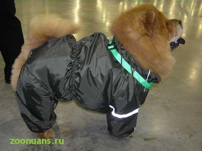 Прикачена снимка