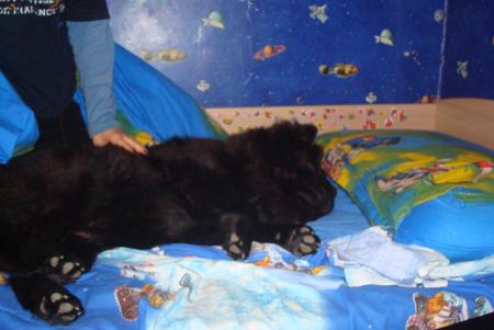 Прикачена снимка