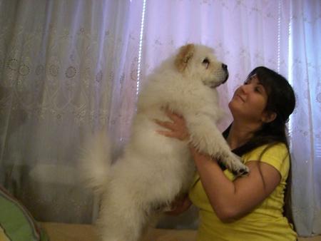 Прикачена снимка