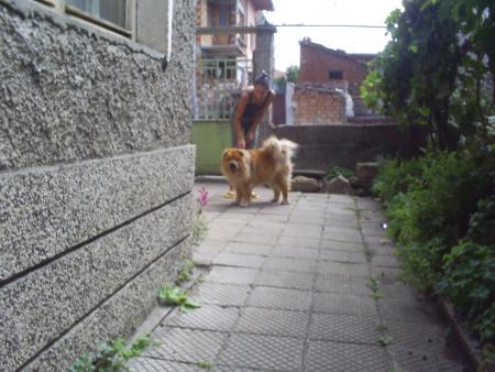 Прикачена снимка