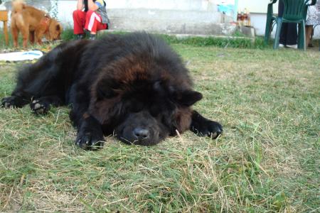 Прикачена снимка