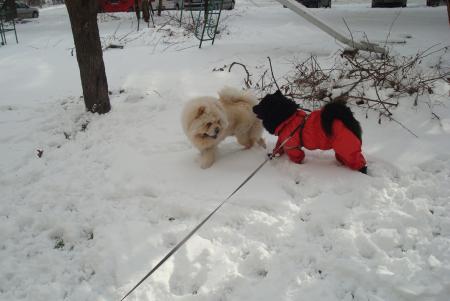 Прикачена снимка