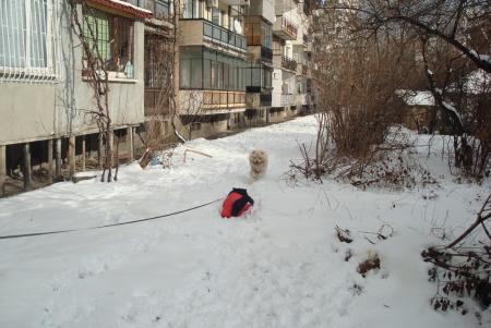 Прикачена снимка