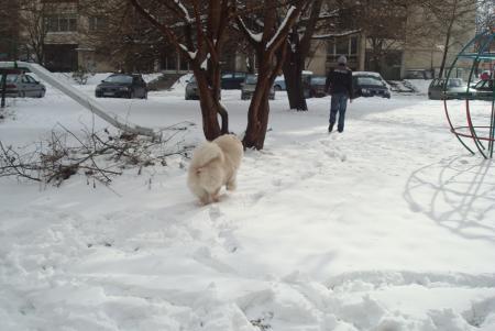 Прикачена снимка