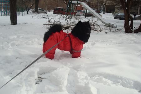 Прикачена снимка
