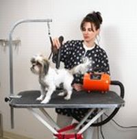 Прикачена снимка