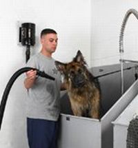 Прикачена снимка