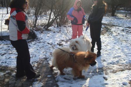 Прикачена снимка