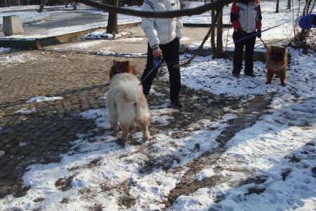 Прикачена снимка