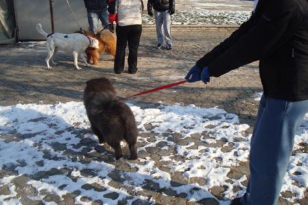 Прикачена снимка