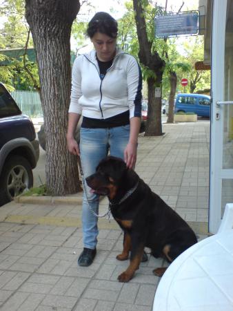 Прикачена снимка