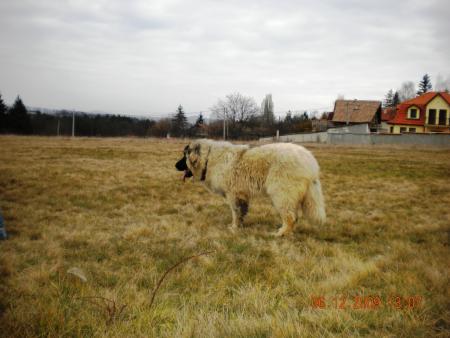 Прикачена снимка