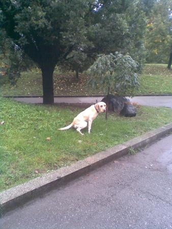 Прикачена снимка
