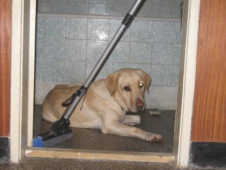 Прикачена снимка