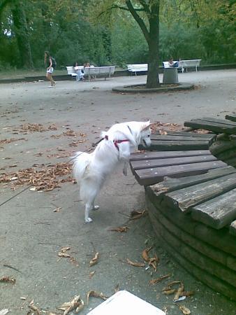 Прикачена снимка
