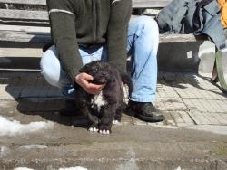 Прикачена снимка