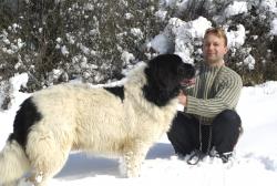 Прикачена снимка