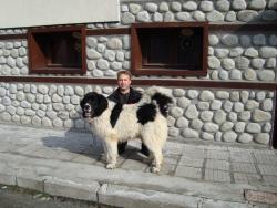 Прикачена снимка