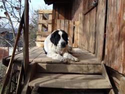 Прикачена снимка
