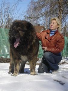 Прикачена снимка