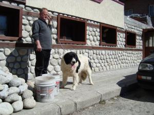 Прикачена снимка