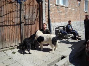 Прикачена снимка