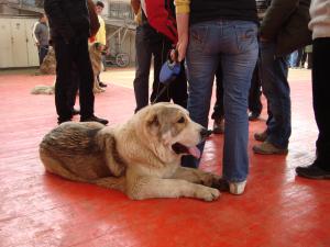 Прикачена снимка