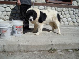 Прикачена снимка