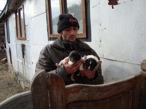 Прикачена снимка