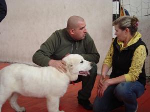 Прикачена снимка