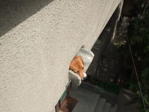 Прикачена снимка