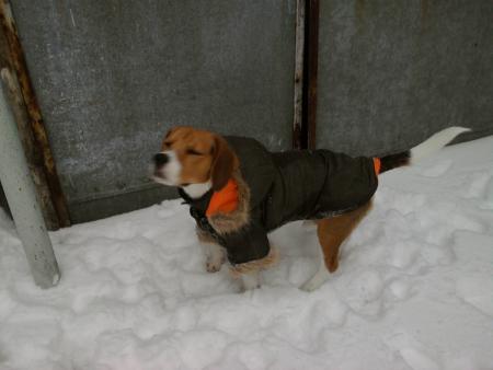 Прикачена снимка