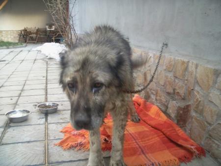 Прикачена снимка