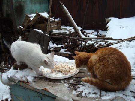 Прикачена снимка