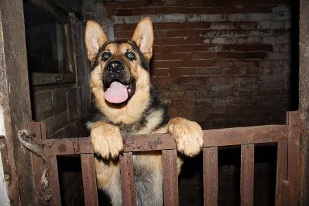 Прикачена снимка